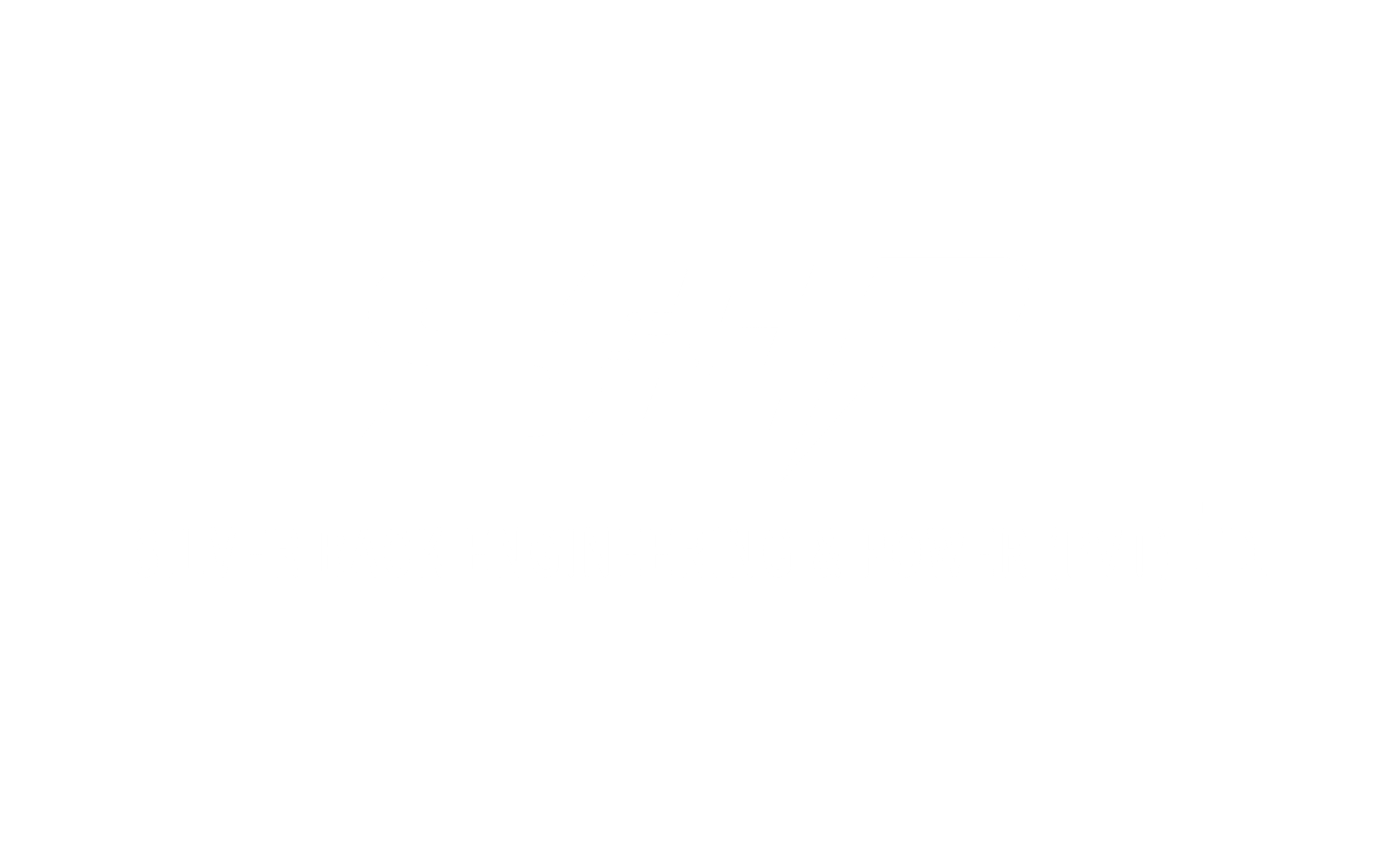 Silver Back Engineering & Power Logo